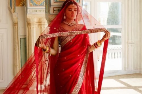 Perfect Saree for a Wedding Guest
