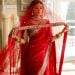 Perfect Saree for a Wedding Guest