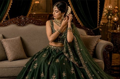 Latest Embroidery Styles Trending in Women Lehenga Cholis